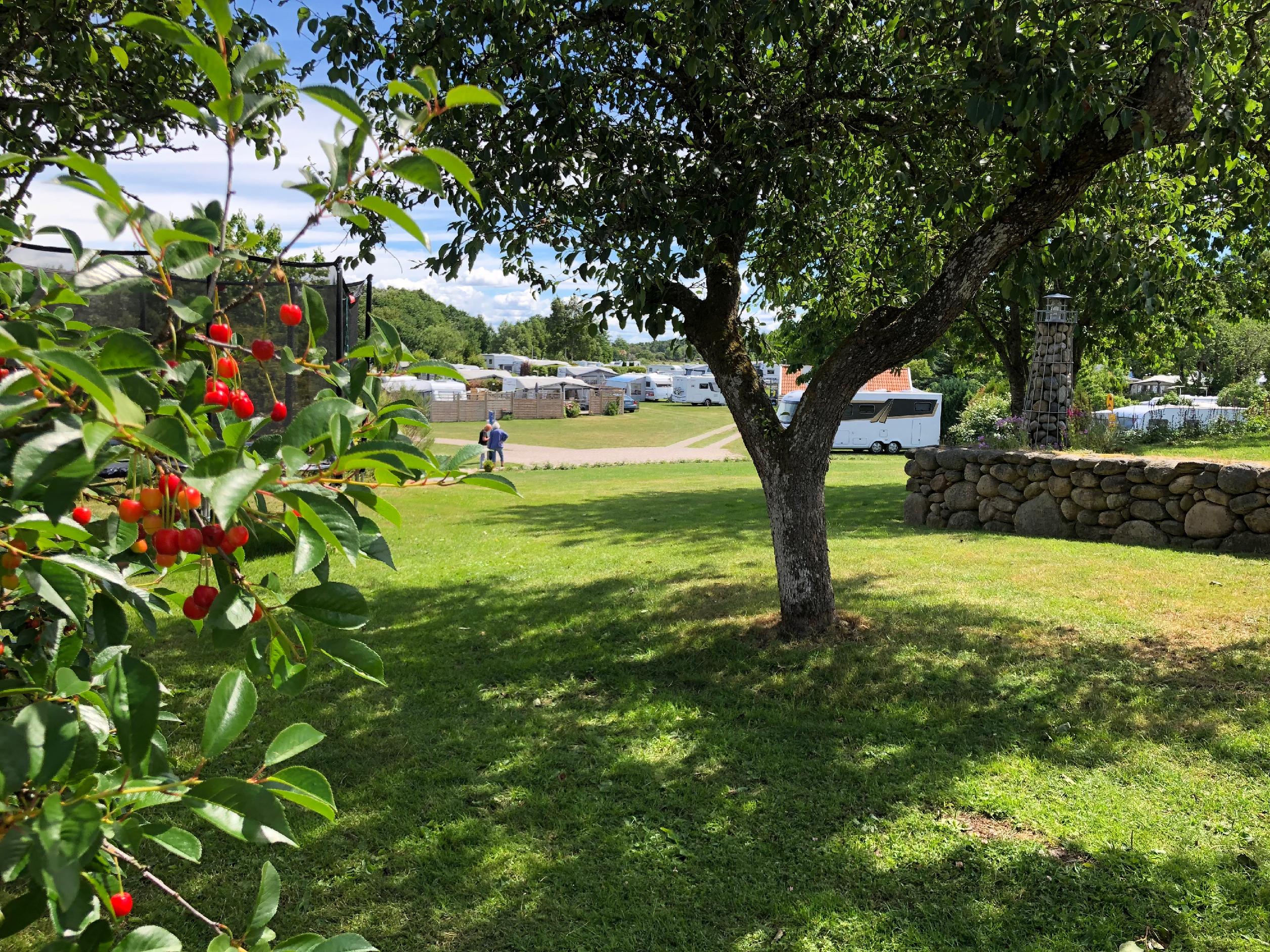 Välkommen till sommaren 2026 